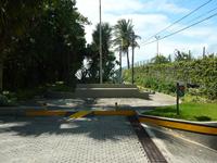 AR204