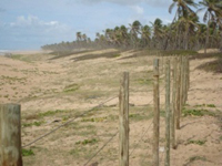 BA01