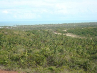 BA01
