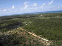 BA01