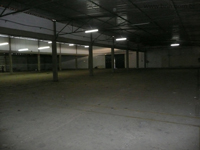 CLG01