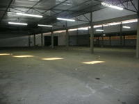 CLG01