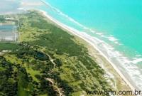 PB06