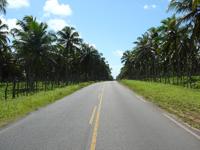 RN00