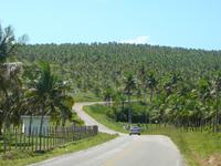 RN00