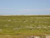 RN01