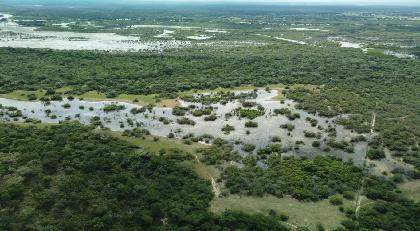 agroba11