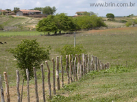 agroce01