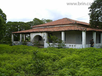 agroce02