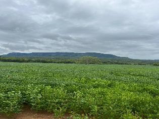 agrogo01