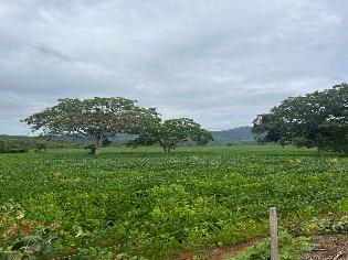 agrogo01