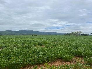 agrogo01
