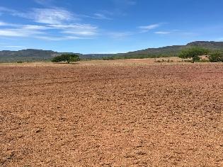agrogo01