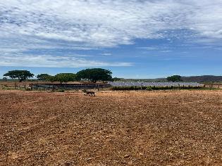 agrogo01