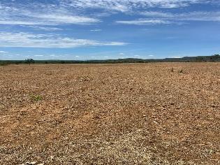 agrogo01