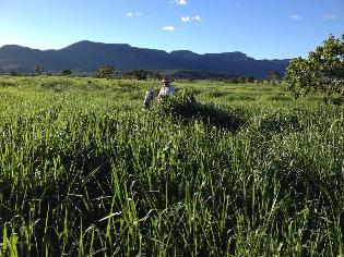 agrogo01