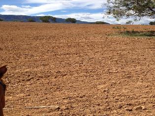 agrogo01