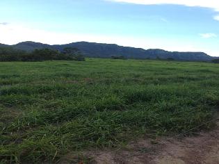 agrogo01