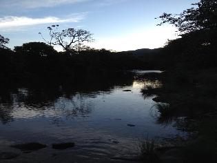 agrogo01