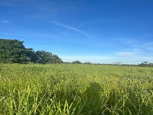 agrogo01