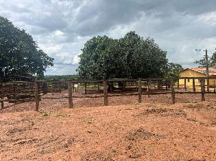 agrogo01