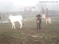 agrooe05