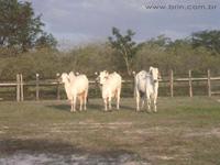 agrooe05