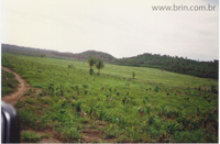 agrooe06