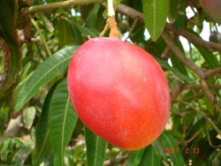 agrooe07