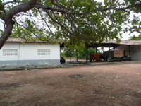 agrooe08