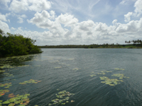 agrooe08