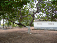 agrooe08