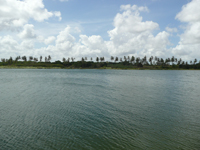 agrooe08