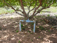 agrooe08