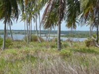 agrooe08