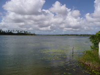 agrooe08