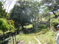 agrope25
