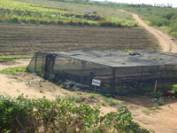agrope26