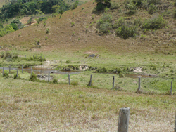 agrope27