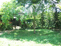 agrope30