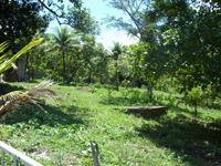 agrope30