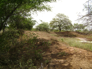 agrope32