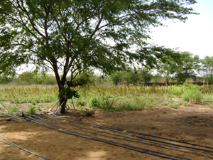 agrope32