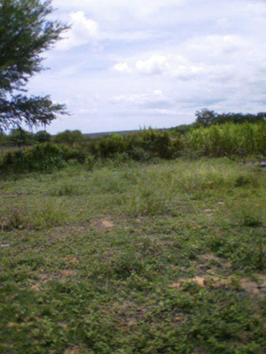 agrope32