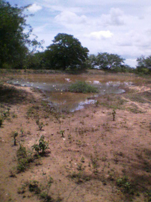agrope32