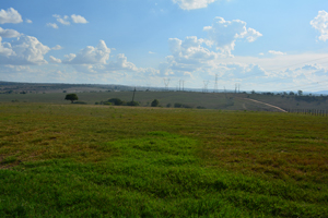 agrope33