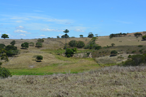 agrope34