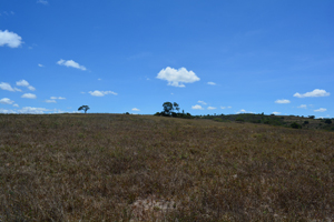 agrope34