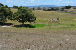 agrope34
