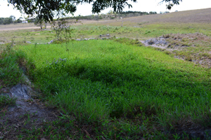 agrope34